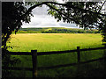 Farmland near Woolstone