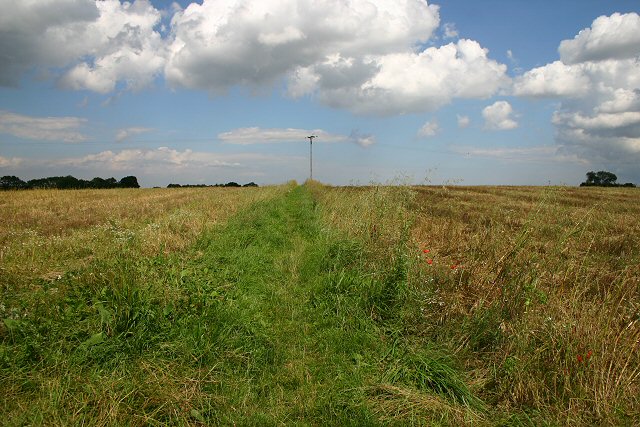 Field boundary at Brisley