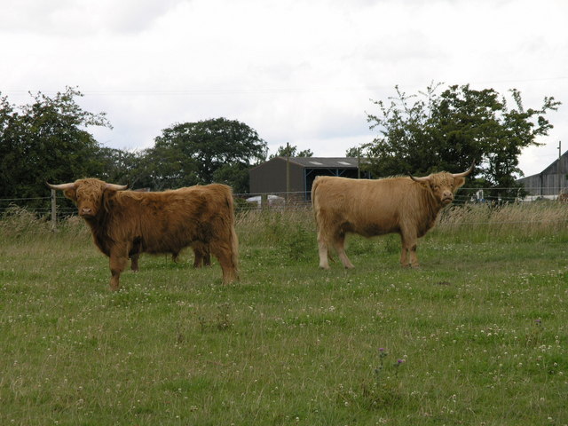 Taking Notice. Old Iversley Farm.