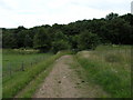 Track to Waterhouses Cemetery.