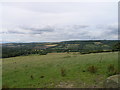 Field. Pontop Pike in the Distance.