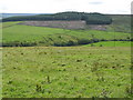 The valley of Reeding Burn and Whitehill Plantation