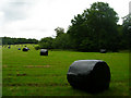 Wrapped Bales near Kingsdown Farm