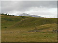 Moorland, with Schiehallion in the background.