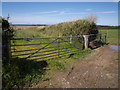 Gateways at Berry Cross