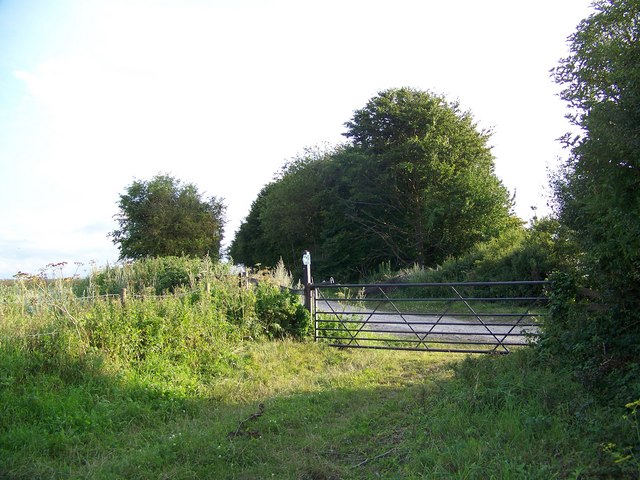 Bridleway near Yews Farm