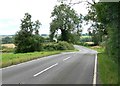 Melton Road near Shangton Grange