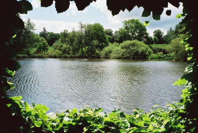 Pond seen through a hole in the hedge