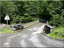 SH8715 : Bridge over River Dovey by liz dawson