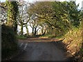 SW7946 : Minor Road up the Hillside by Tony Atkin