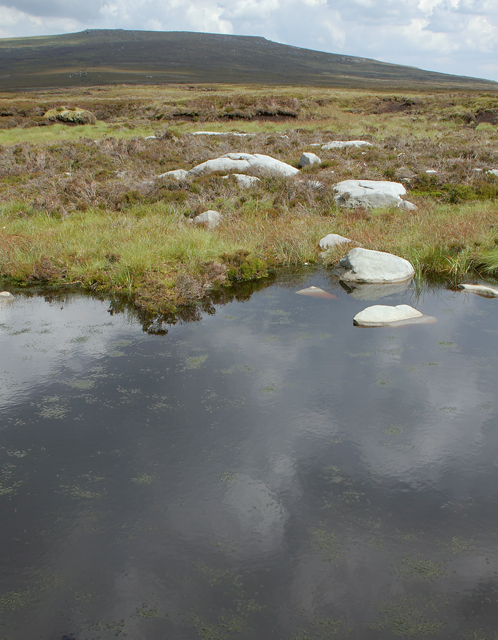Small pond on Cabin Flat