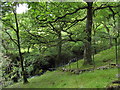 Afon Mynach from the Glan y Mynach path