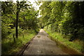 Road past Loch Eye