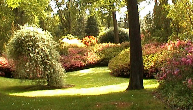 Mount Congreve gardens (supplemental #3)