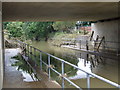 Under the A46