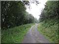 Forest road, Blackthorn Wood