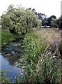 Delph Ditch, Promenade Park