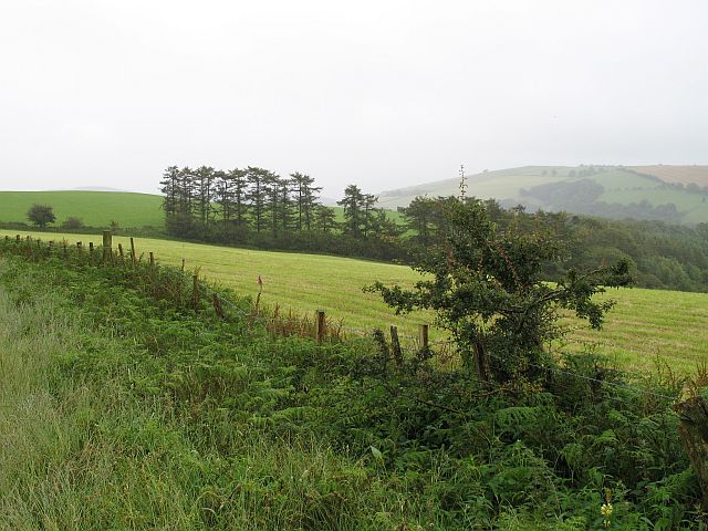 Reeves Hill