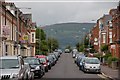 Malone Avenue, Belfast