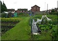 Allotments - Wood Lane