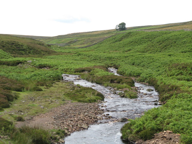 The confluence of Henshaw and Quickcleugh Burns
