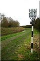 Footpath by Soham Lode