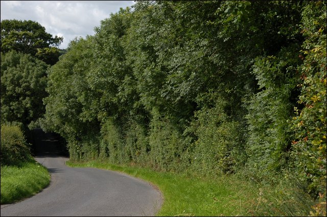 The Cargans Road near Tanderagee © Albert Bridge cc-by-sa/2.0 ...