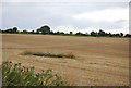 Reservoir on New Court Down