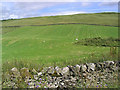 Hill farmland near Ormiston