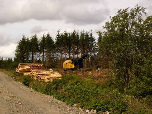 Forestry operations near Low Airies