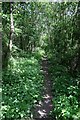 Disused railway line at Wixoe