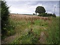 Field near Hill Barn Farm