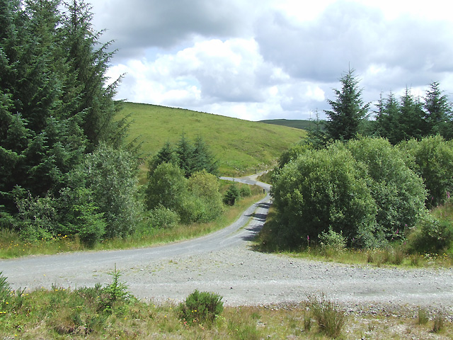 Forest Roads near Esgair Llethr, Ceredigion
