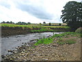 River Laver at Clotherholme