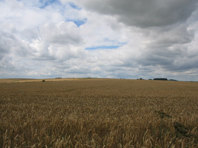 Wiltshire cropland.