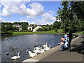 Gun Knowe Loch, Tweedbank