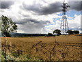 Field and Pylon