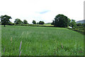 Farmland near Pont Llanio, Ceredigion