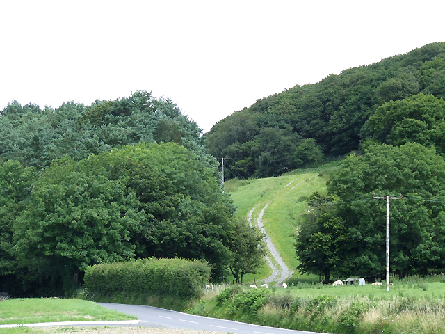 Track up hillside, north-east of Tregaron, Ceredigion