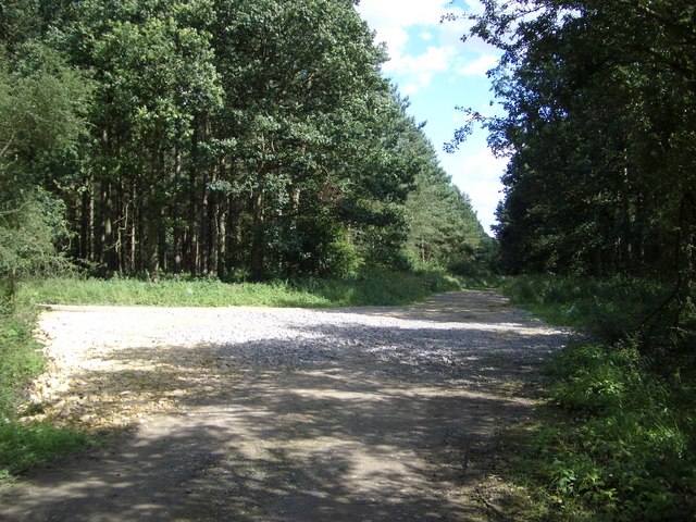 Trackways in Titchmarsh Wood