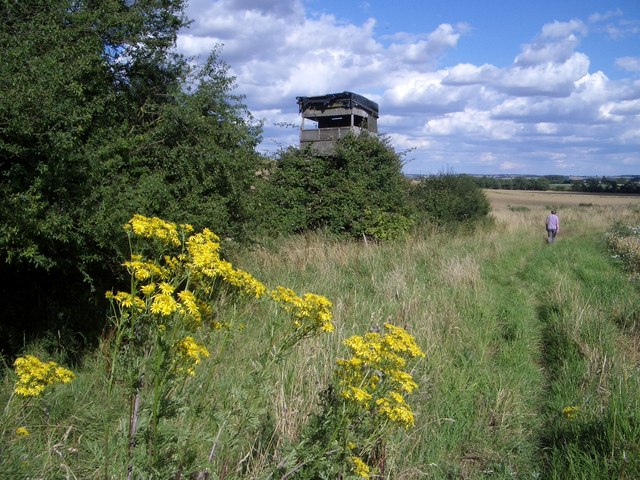 Watch Tower Near Green Side Wood