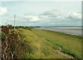 Dornockbrow, estuary shore