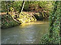 SW7847 : Stream near Tregavethan Manor by Tony Atkin