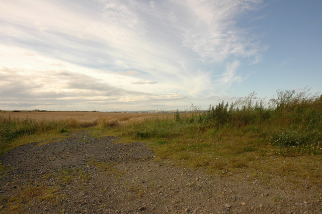 Fields near Ardlethen