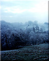 Road to Barleighford Farm taken winter 1976