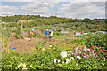 Red Barn Allotments, Danes Road, Portchester