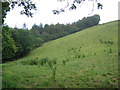 Farmland near Penquite Farm