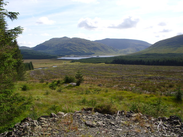 Forest Clear Fell  With Loch Dee in the Background