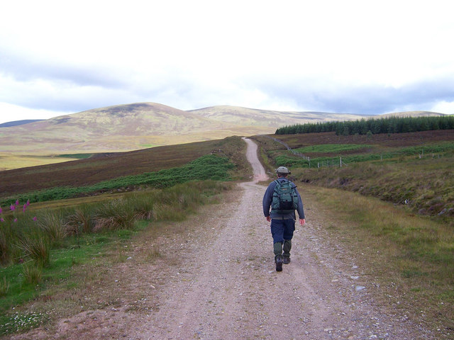 The track leading up Strath Rory heads towards the forest.