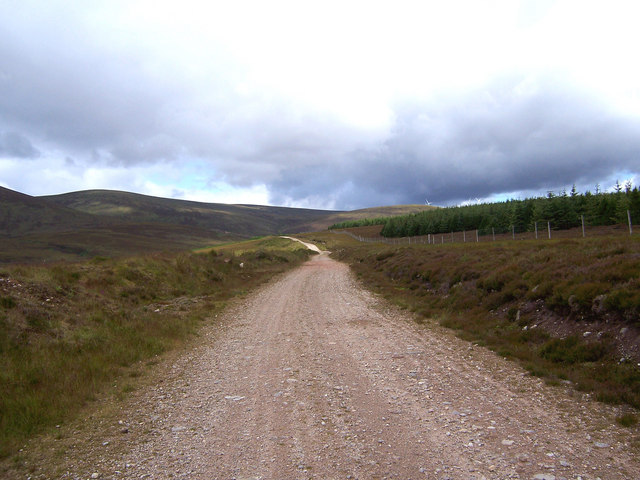 The track leading up Strath Rory follows the forest edge.